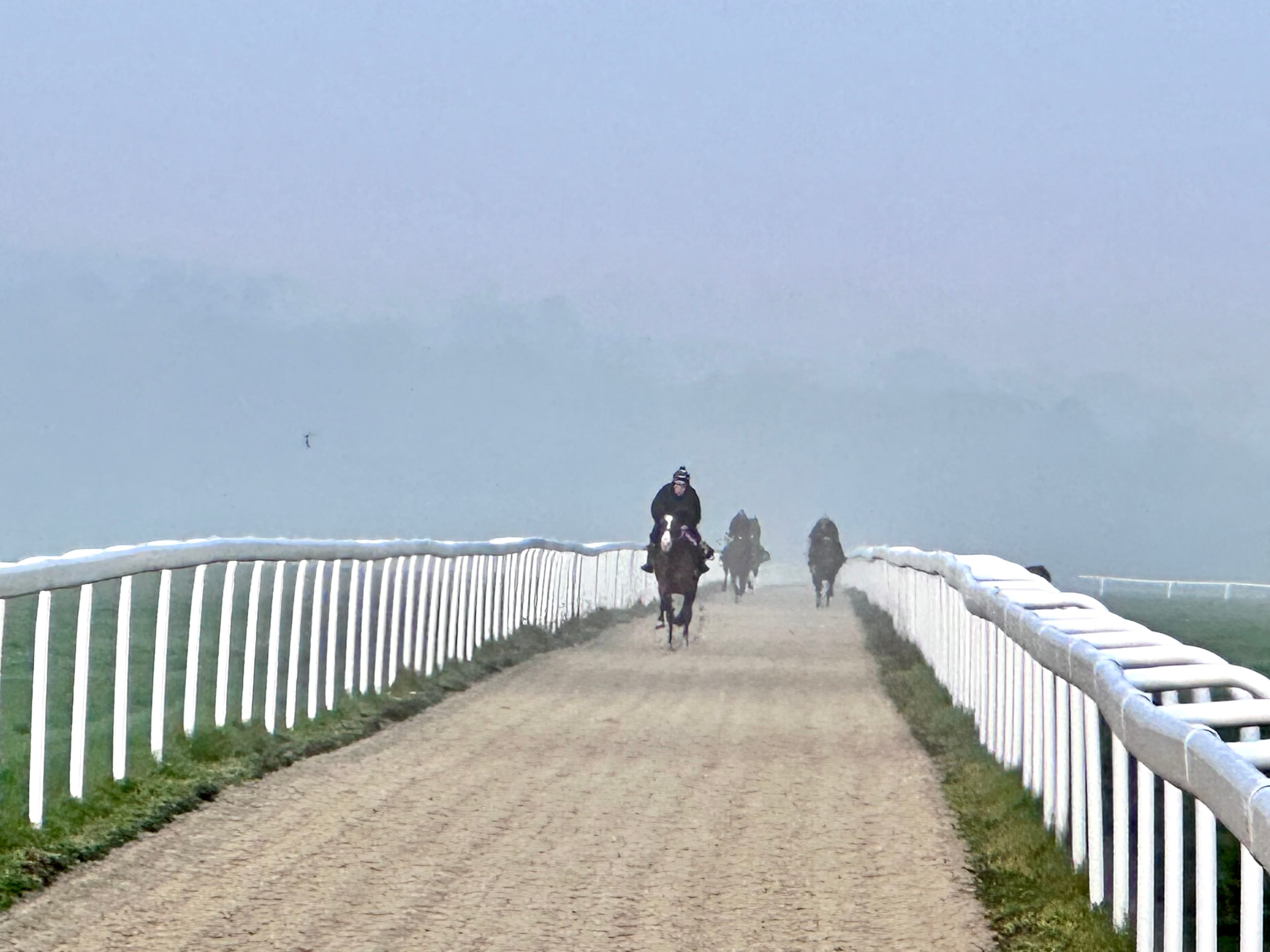 All-Weather Gallops