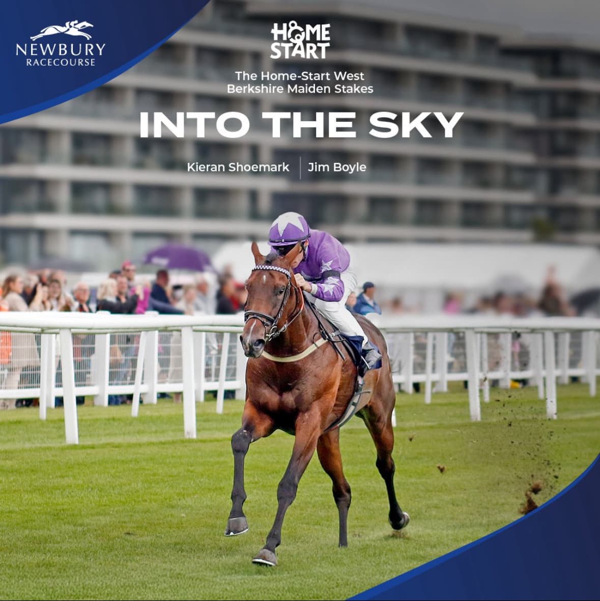 Into The Sky