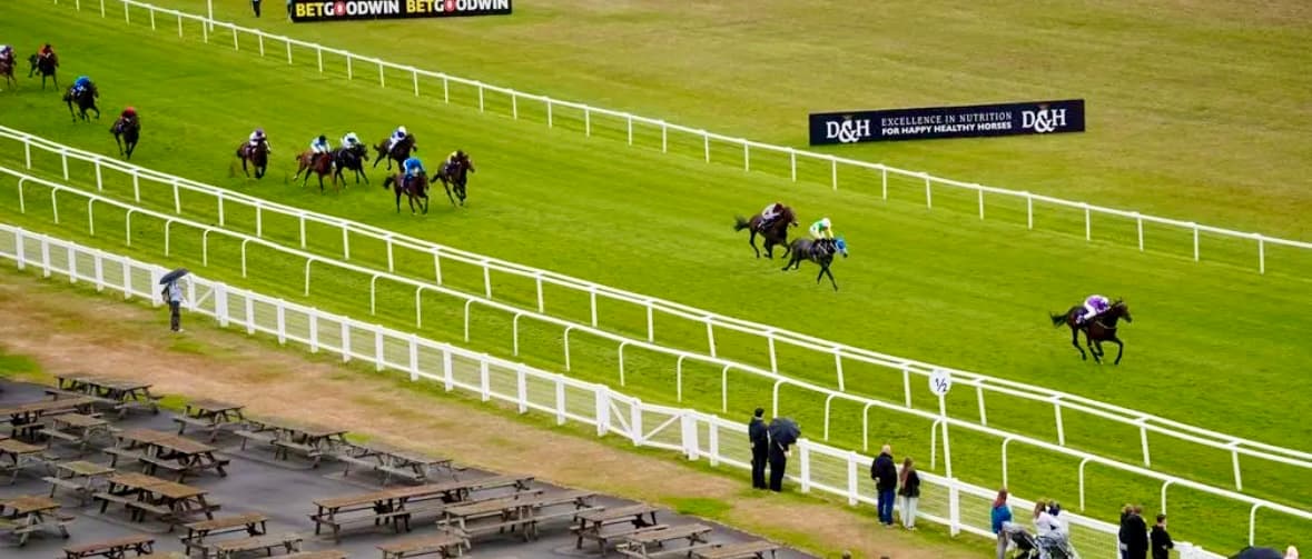 High Profile Owners buy into exciting 2yo Into The Sky